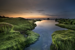 三峡大坝在哪里(为什么会淹没那么大面积的土地呢)