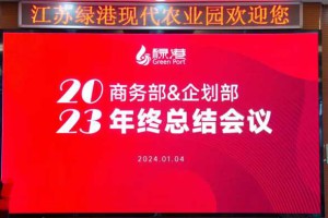 公司动态丨江苏绿港商务部&amp;企划部召开2023 年终总结会议