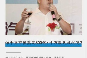 保千里市值蒸发800亿：十万股民被坑哭？