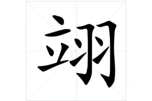 「生僻字合集」翊怎么读，有什么含义？翊字取名的寓意？